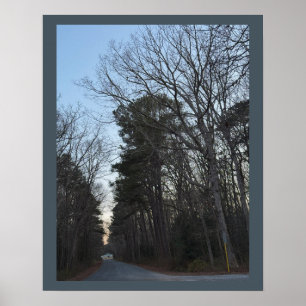 Poster des rangées d'arbres