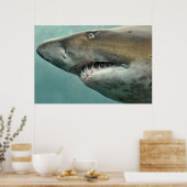 Poster des rangées de dents de requin (Cuisine)