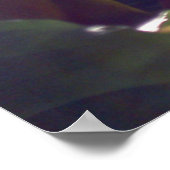 Poster des rayons (Coin)