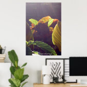 Poster des rayons (Bureau à domicile)