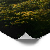 Poster des Réflexions côtières (Coin)