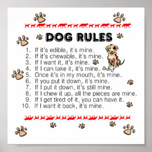 Poster des règles de chien