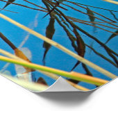 Poster Des roseaux dans un lac (Coin)