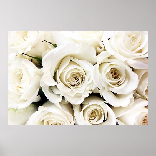 Poster des Roses Blanches (Devant)