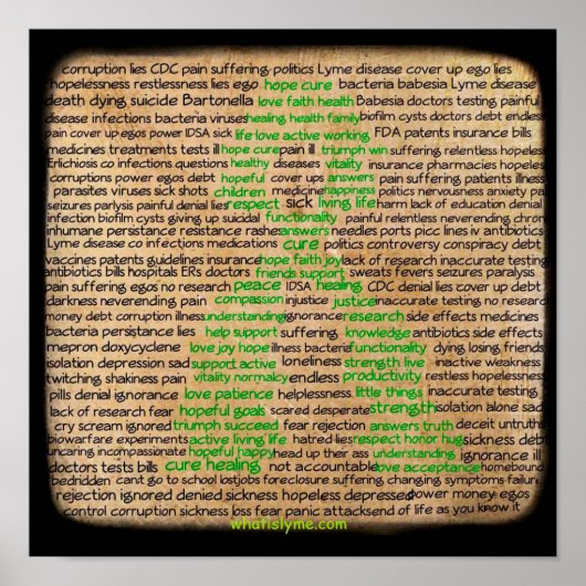 Poster des sentiments de maladie de Lyme, nié, ign (Devant)