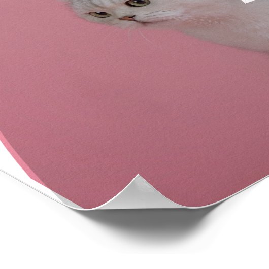 Poster des services de soins pour animaux (Coin)