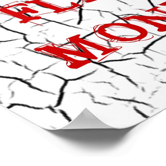 Poster des singes volants (Coin)