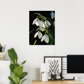 Poster des snowdrops (Bureau à domicile)