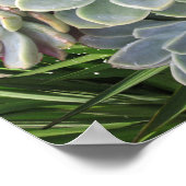 Poster Des teintes succulentes de blues pâles (Coin)