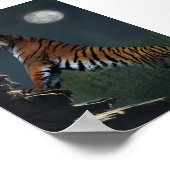 Poster Des tigres grimpent à l'affiche (Coin)