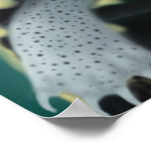 Poster des tortues de diamondback Terrapin (Coin)