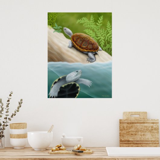 Poster des tortues de diamondback Terrapin (Cuisine)