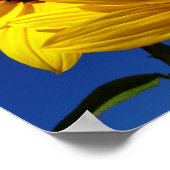 Poster des tournesols (Coin)