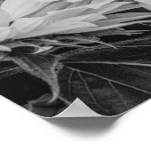 Poster des tournesols/Imprimer (Coin)