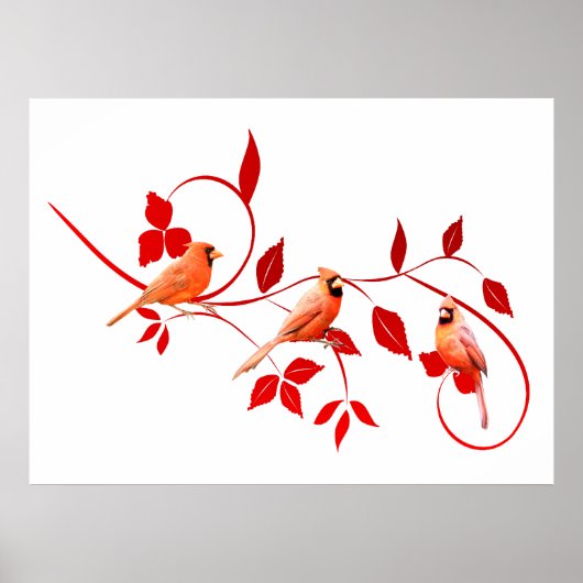 Poster des trois cardinaux (Devant)