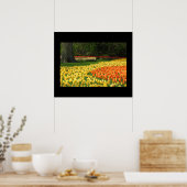 Poster des Tulipes du jardin (Cuisine)