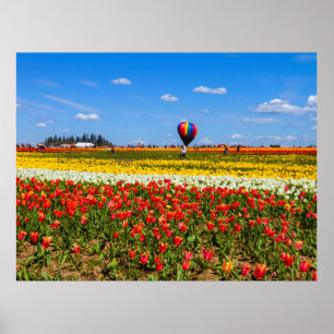 Poster des Tulipes du printemps