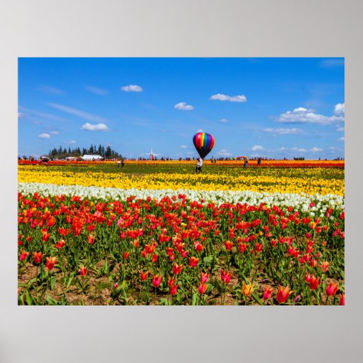 Poster des Tulipes du printemps (Devant)