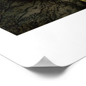 Poster des Tulipes Jaunes (Coin)