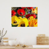 Poster des Tulipes jaunes et rouges (Cuisine)
