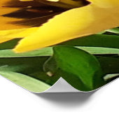 Poster des Tulipes jaunes et rouges (Coin)