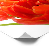 Poster des Tulipes Orange (Coin)