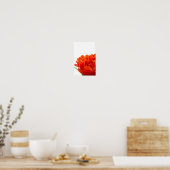 Poster des Tulipes Orange (Cuisine)
