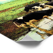 Poster des vaches Amish (Coin)