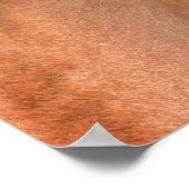 Poster des yeux de cheval (Coin)