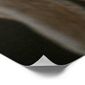 Poster des yeux du laboratoire de chocolat (Coin)