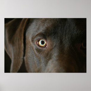 Poster des yeux du laboratoire de chocolat