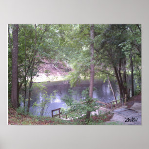 Poster Descendre sur une Suwannee River White Springs Fl.