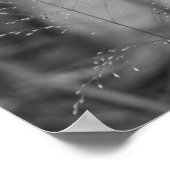 Poster Deschampsia flexuosa (Coin)