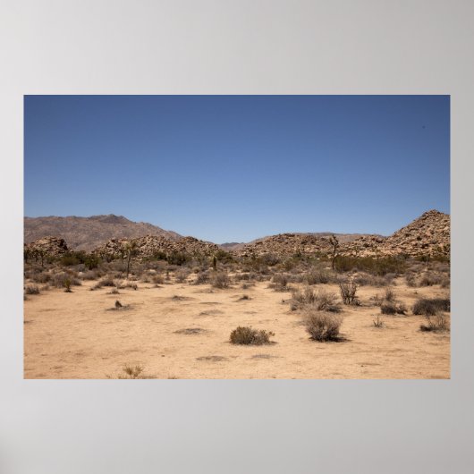 Poster Désert (Devant)