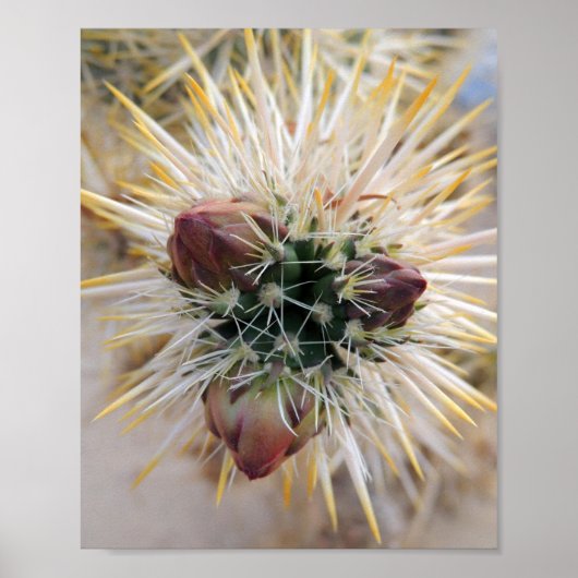 Poster Desert beauty (Devant)