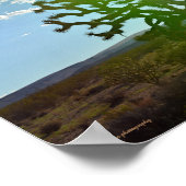 Poster Desert beauty (Coin)