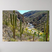 Poster Desert Canyon (Devant)