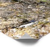 Poster Desert Canyon (Coin)