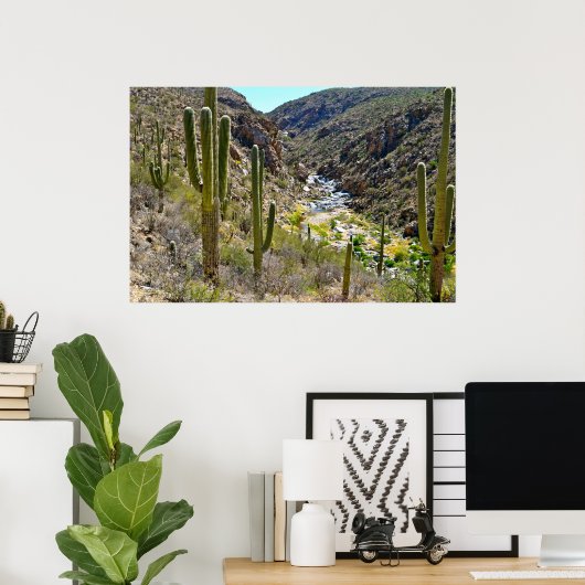 Poster Desert Canyon (Bureau à domicile)