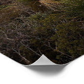 Poster Désert de Carlsbad Caverns (Coin)