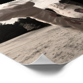 Poster désert de maine (Coin)