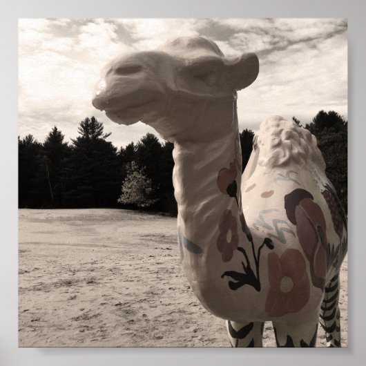 Poster désert de maine (Devant)