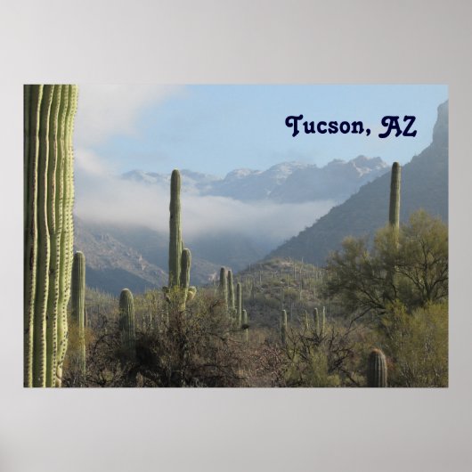 Poster Desert de Tucson (Devant)