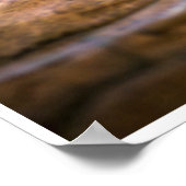 Poster Desert Monarch: The Resting Cougar (Coin)