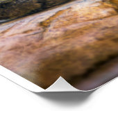 Poster Desert Monarch: The Resting Cougar (Coin)