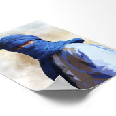 Poster Desert Riders (Coin)