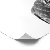 Poster Desert Road Rund Bird Portrait (Coin)