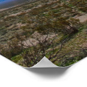 Poster Desert Roadside Art (Coin)