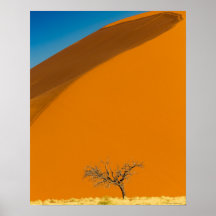 Désert Rouge de Namibie