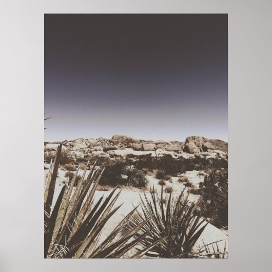 Poster Désert vintage de Joshua Tree (Devant)